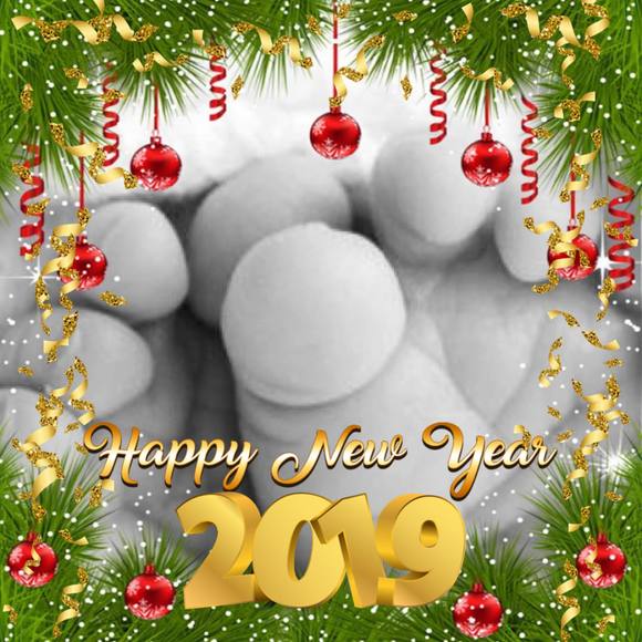 Meet your Posher, Terri - Picture 1 of 1